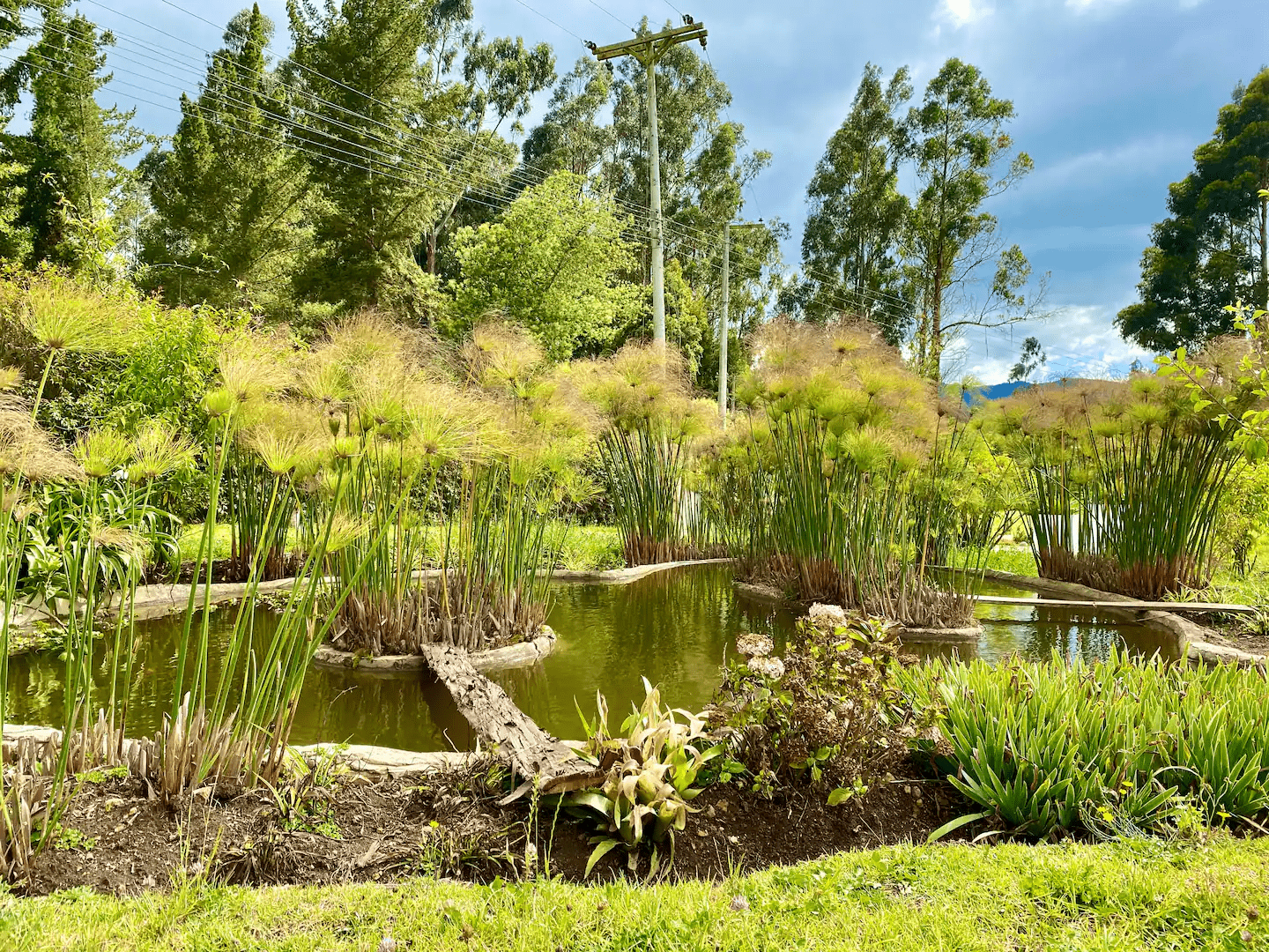 El estanque de la finca