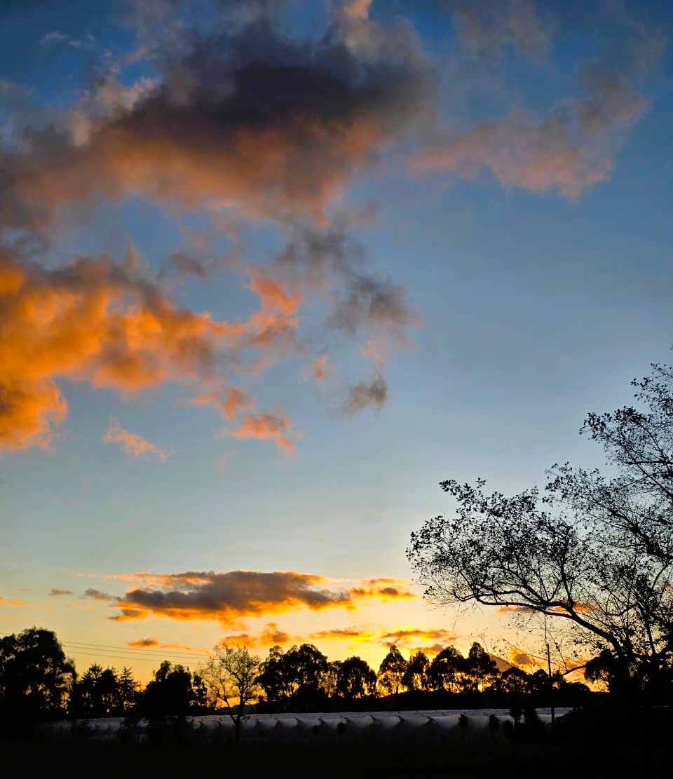 Atardecer sobre la finca